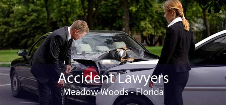 Accident Lawyers Meadow Woods - Florida