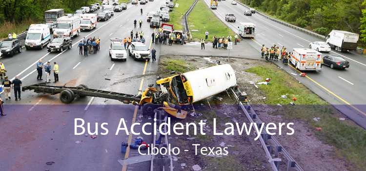 Bus Accident Lawyers Cibolo - Texas